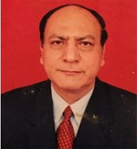Prof. S. K. Narang